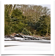 JB june bannister pond arley - June Bannister
